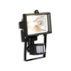 Halogen Flood Light